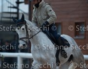Berlin Tosc Tour2013- S5 1833 : Arezzo, Berlin, Cavalli d'Italia, Toscana Tour 2013, foto di Stefano Secchi ©